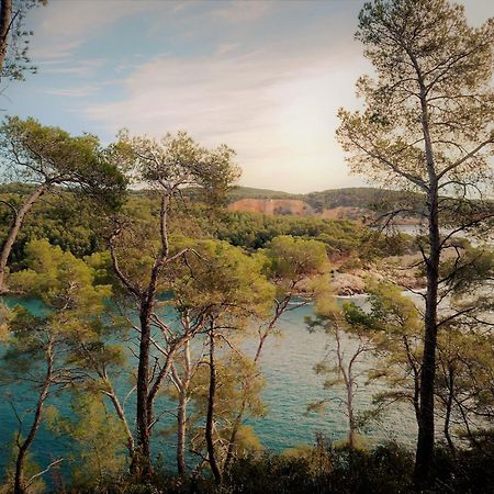 Les Pieds Tanques - Chambres D'Hotes - Calanque A Pieds Saint-Cyr-sur-Mer Buitenkant foto