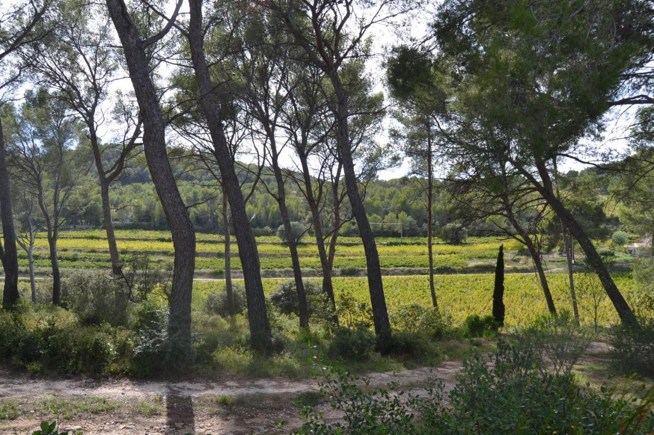 Les Pieds Tanques - Chambres D'Hotes - Calanque A Pieds Saint-Cyr-sur-Mer Buitenkant foto