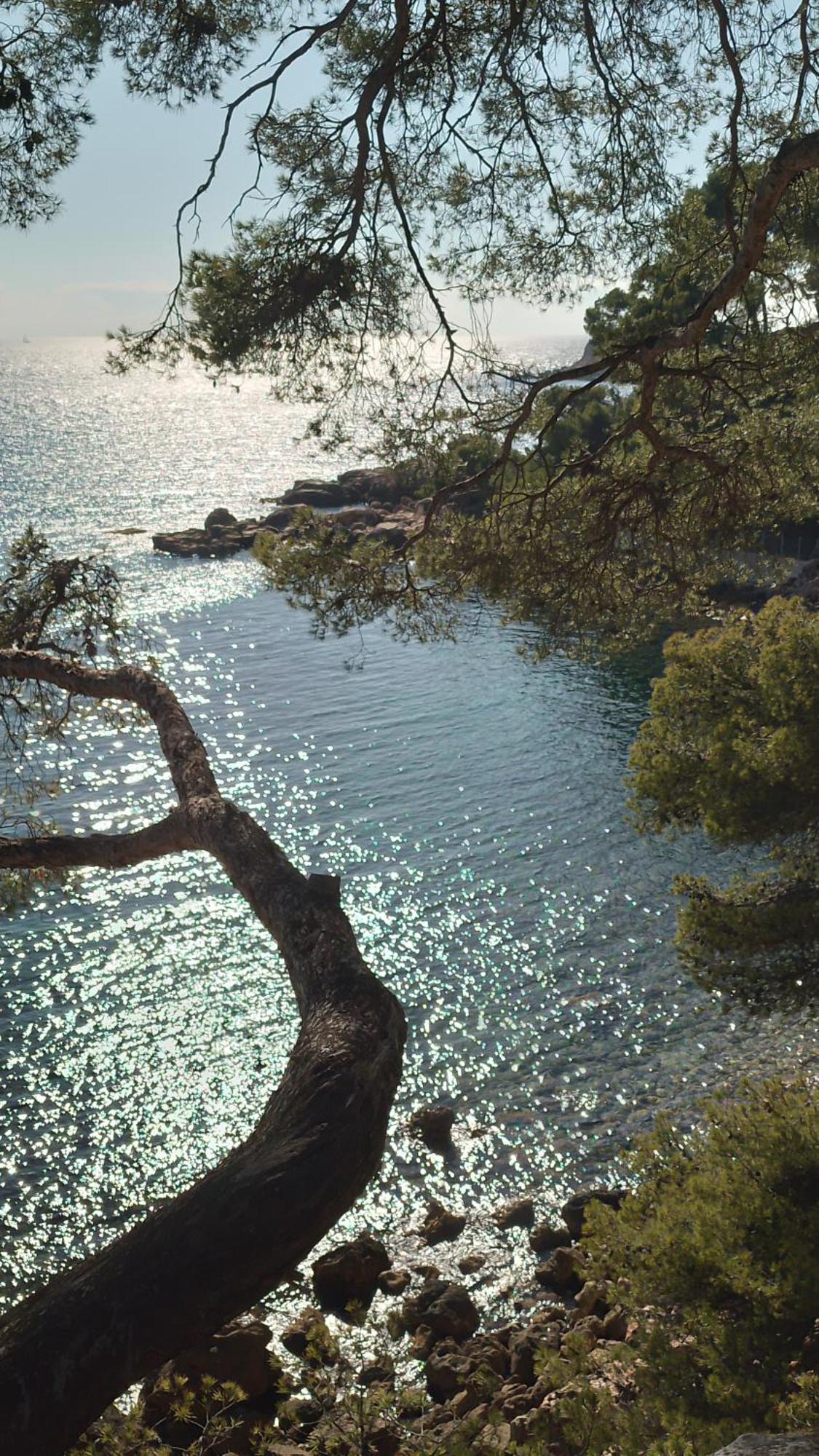 Les Pieds Tanques - Chambres D'Hotes - Calanque A Pieds Saint-Cyr-sur-Mer Buitenkant foto